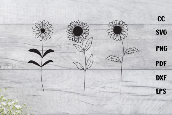 Elevating Creative Workflows with High-Resolution Flower SVG Designs for Modern Digital Production