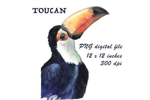 Toucan, Hand Painted Watercolor PNG File: Elevating Digital Design with Exotic Artistry