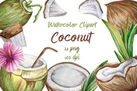 Tropical Coconut Watercolor Clipart PNG